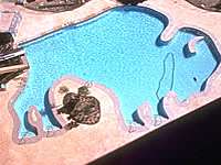 Buffalo Bills