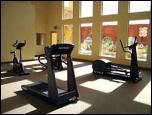 Falcon Ridge Hotel - FalconRidge Sport