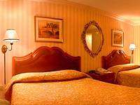 las Vegas Hotels - Paris Hotel and Casino