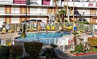 westward ho pool
