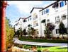 Tuscany Suites
