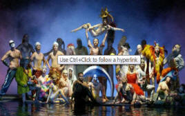 Las Vegas O Cirque du Soleil Show