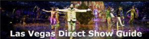 Las Vegas Direct Show Guide