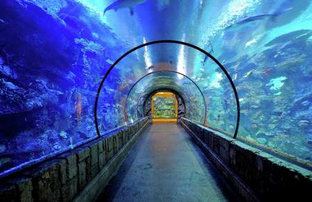 Mandalay Bay's Shark Reef Aquarium