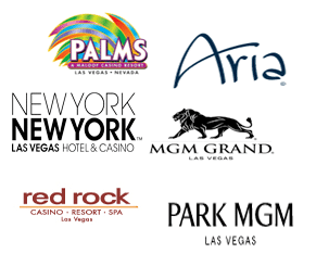 Las Vegas Hotel Websites 