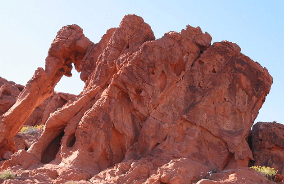 Valley Of Fire Elephants Trunk