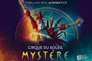 Mystère by Cirque du Soleil