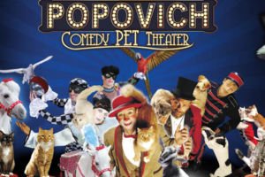 Popovich Comedy Pet Theater