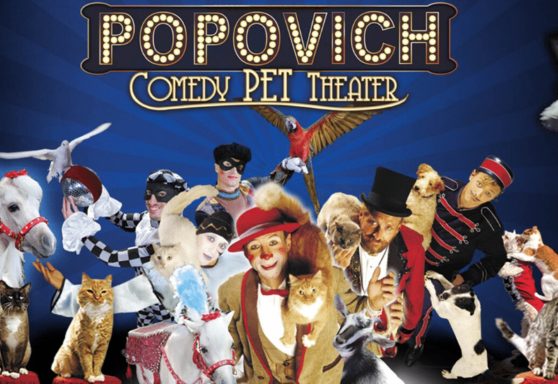 Popovich Comedy Pet Theater