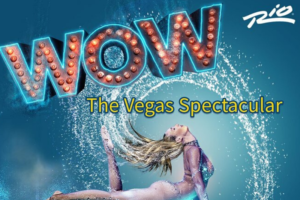 WOW - The Vegas Spectacular