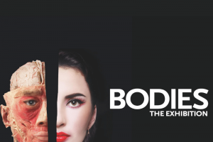 Bodies: The Exhibition at Luxor