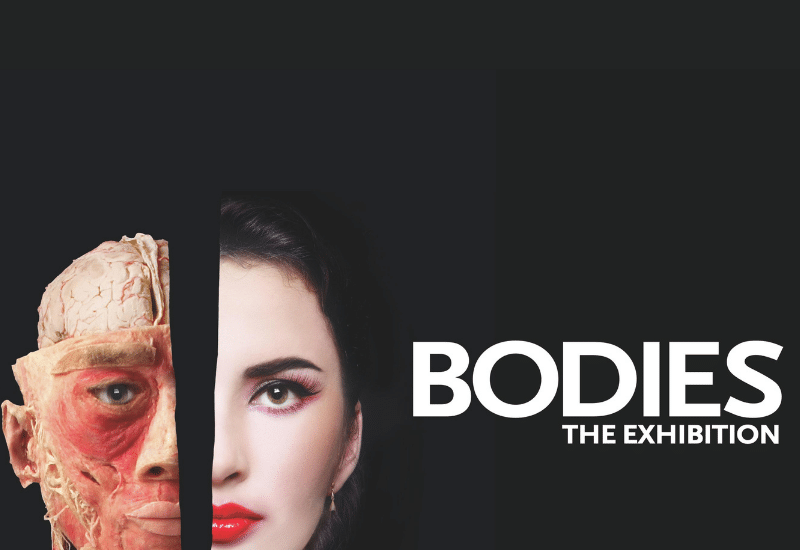 Bodies: The Exhibition at Luxor