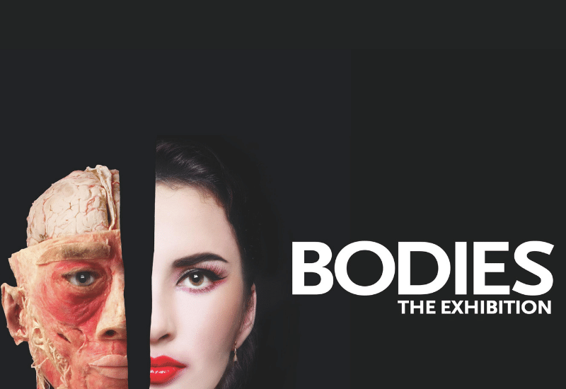 Bodies The Exhibition at Luxor Las Vegas Direct