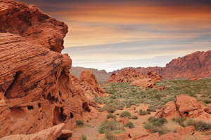 Red Rock Canyon Tour