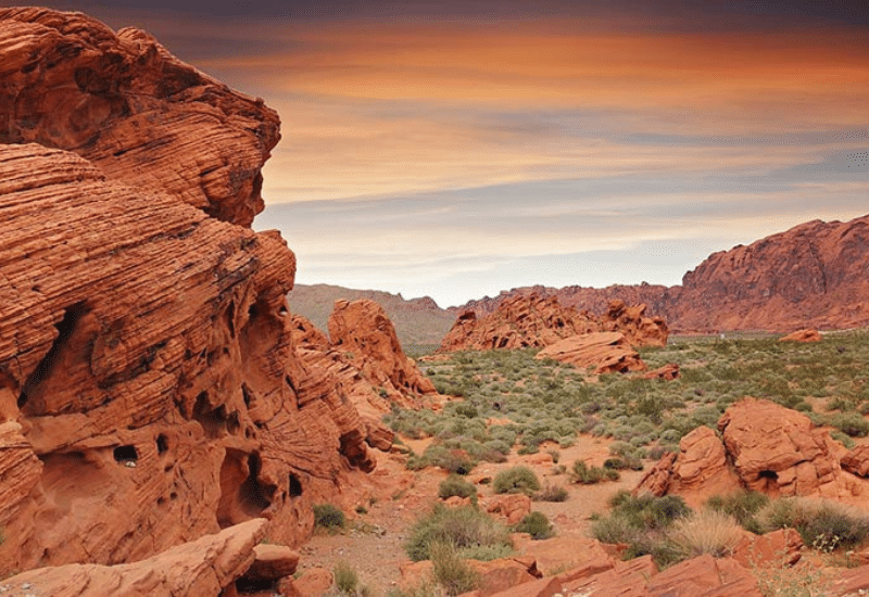 Red Rock Canyon Tour