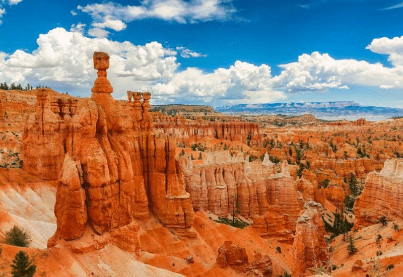 Zion National Park Tour