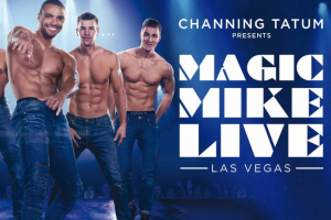 Magic Mike Live