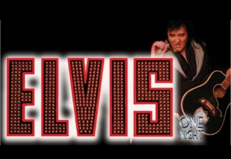 Elvis: One Night