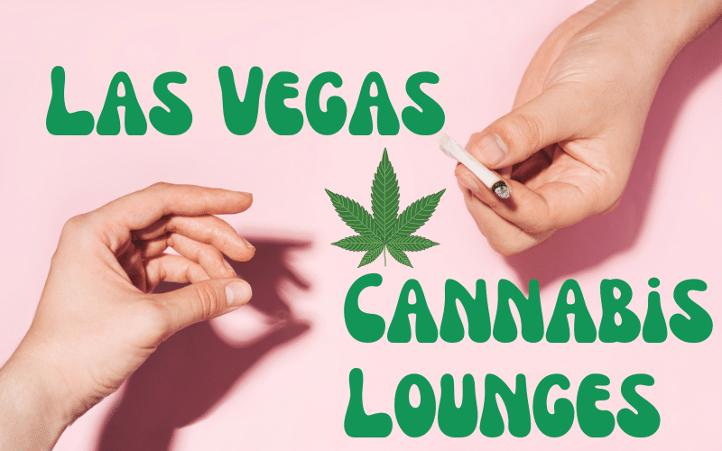 Las Vegas Cannabis Lounges: Is Vegas Set To Be the New Amsterdam?
