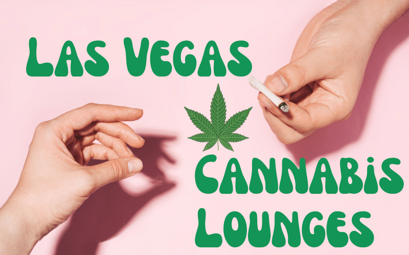 Las Vegas Cannabis Lounges: Is Vegas Set To Be the New Amsterdam? Las Vegas Cannabis Lounges: Is Vegas Set To Be the New Amsterdam?
