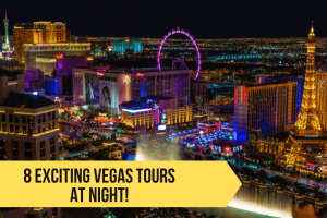 Vegas After Dark: 8 Exciting Tours for Experiencing Las Vegas at Night