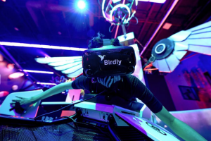 Birdly