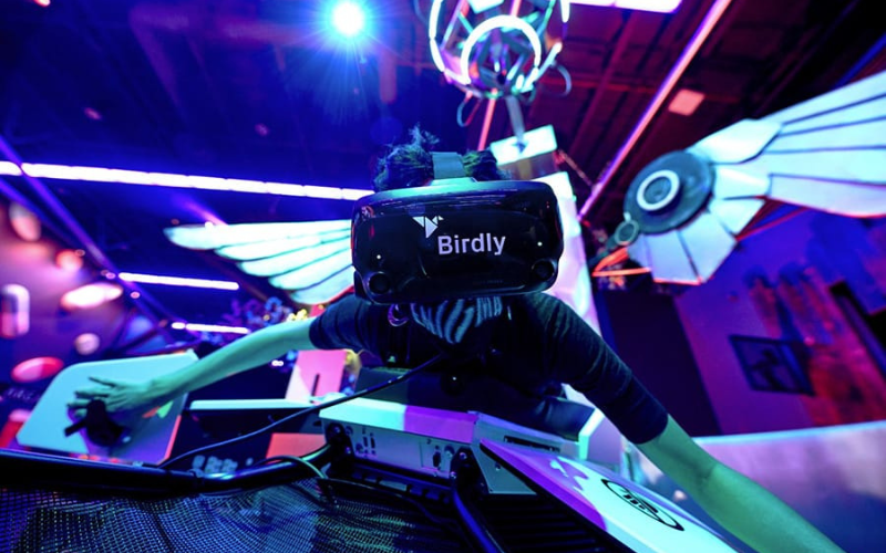 Birdly