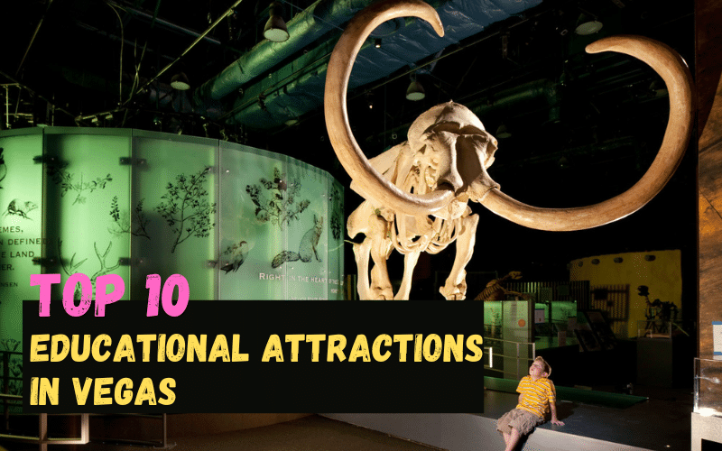 The Top 10 Most Fascinating Educational Attractions in Las Vegas