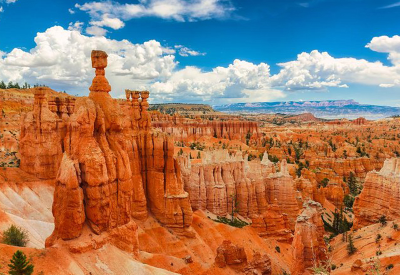 Bryce Canyon & Zion National Park Tour