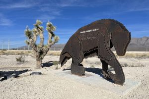 Ice Age Fossils State Park