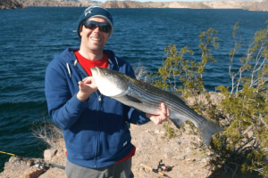 Lake Mead Striped Bass Fishing Getaway