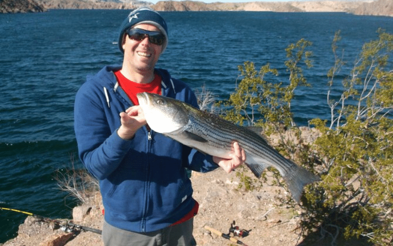 Lake Mead Striped Bass Fishing Getaway