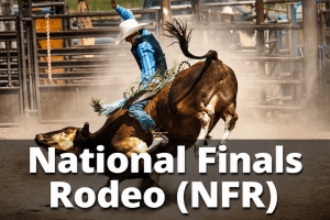 National Finals Rodeo (NFR) in Las Vegas. Picture shows a cowboy riding a steer cow.