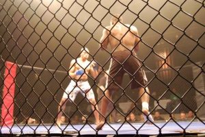 UFC match