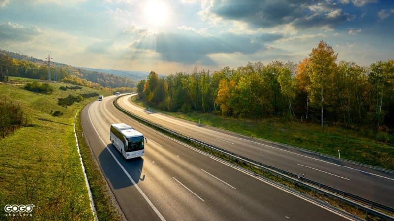 gogo charters bus service