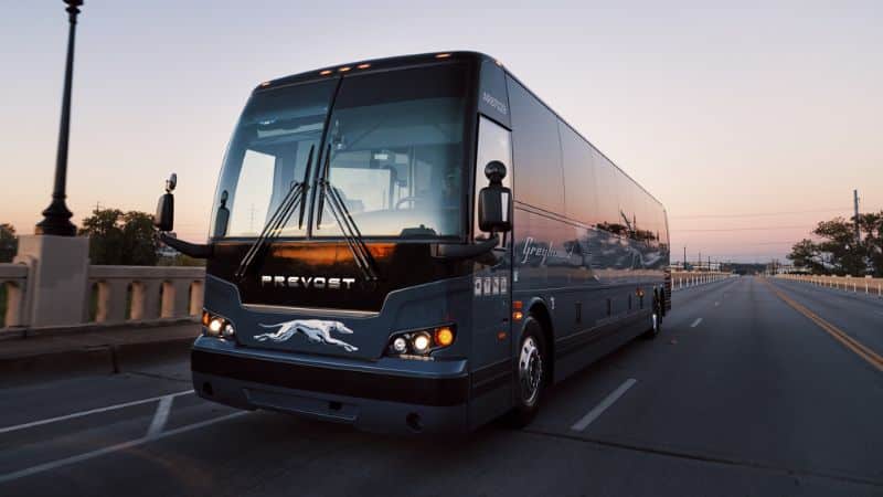 greyhound bus