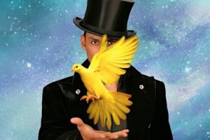 vegas allstars of magic