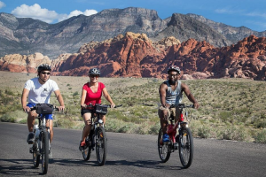Red Rock Canyon eBike Half-Day Tour