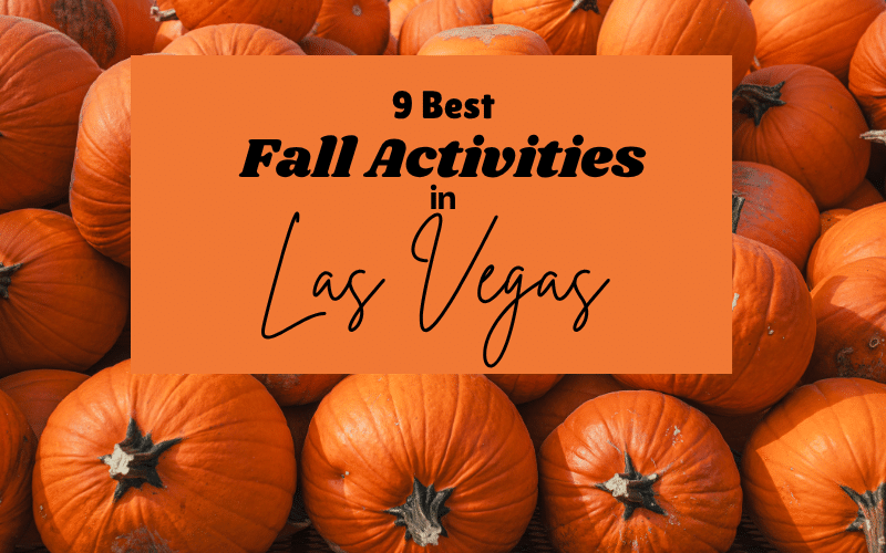 9 Best Fall Activities in Las Vegas for an Amazing Autumn Getaway (2026)